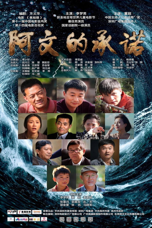 阿文的承诺 封面