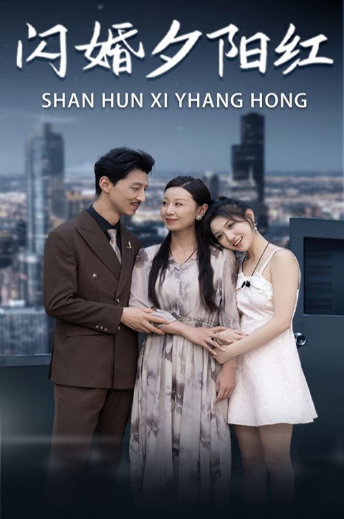 闪婚夕阳红 封面