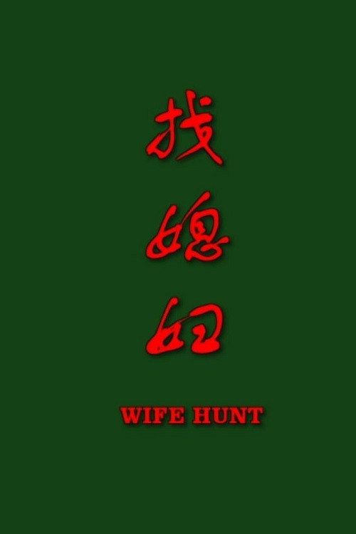 找媳妇 封面
