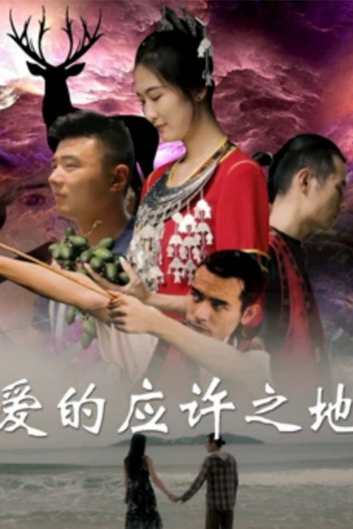 爱的应许之地 封面