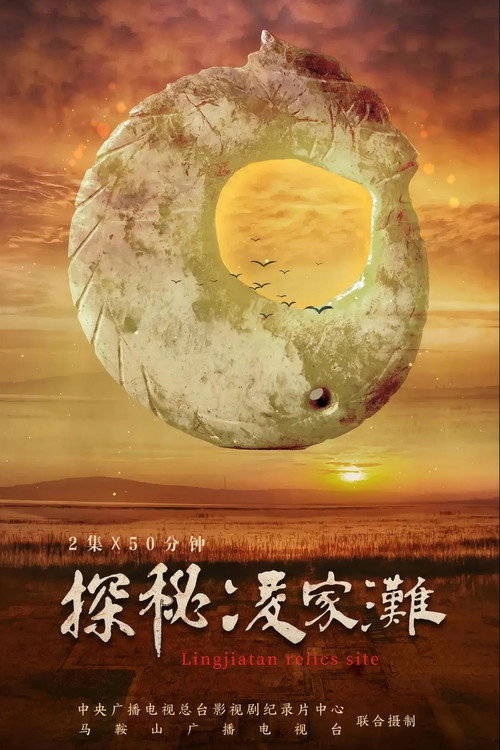 探秘凌家滩 封面