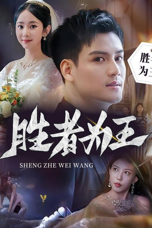 胜者为王 封面