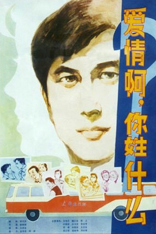 爱情啊,你姓什么? 封面