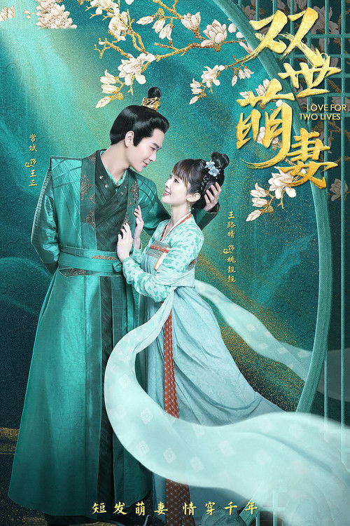 双世萌妻 封面