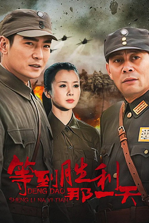 等到胜利那一天 封面