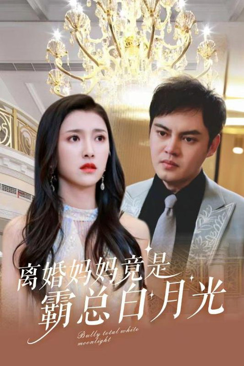 离婚妈妈竟是霸总白月光 封面