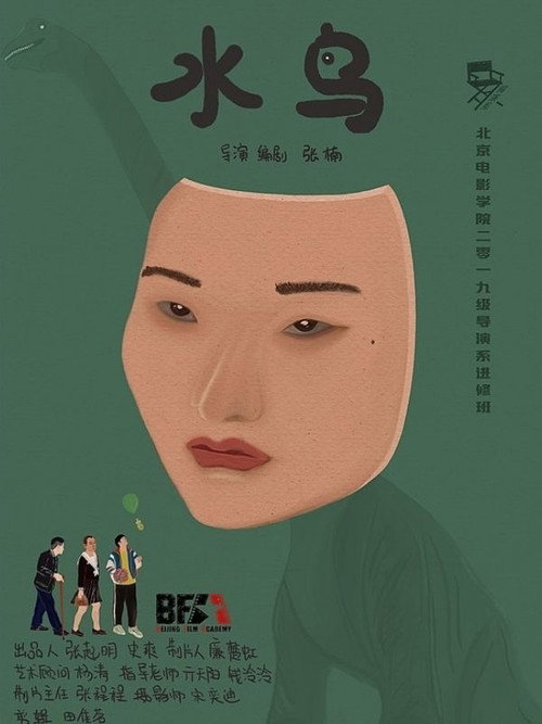 水鸟 封面