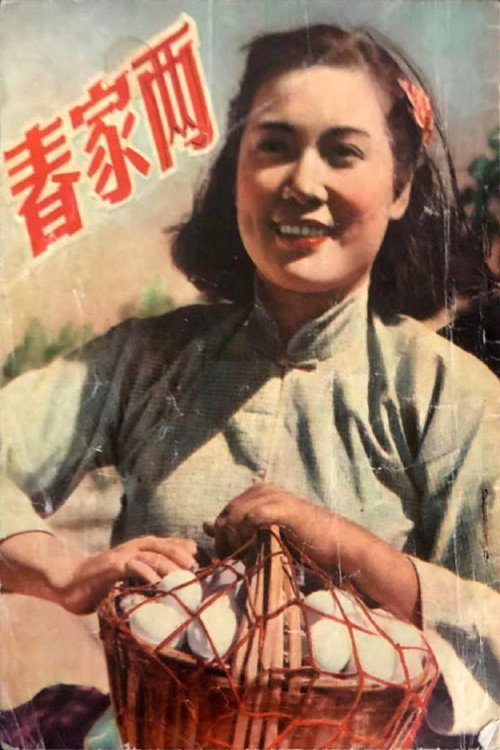 两家春 封面