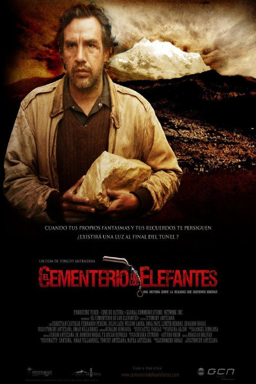 El Cementerio de los Elefantes 封面