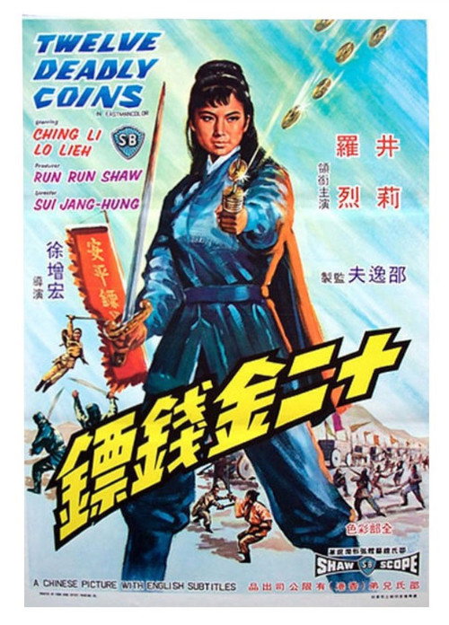 十二金钱镖 封面