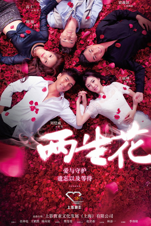 两生花 封面