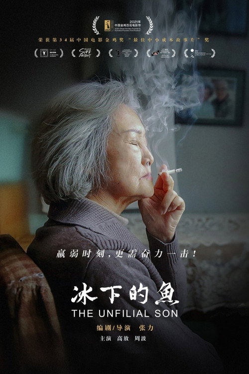 冰下的鱼 封面