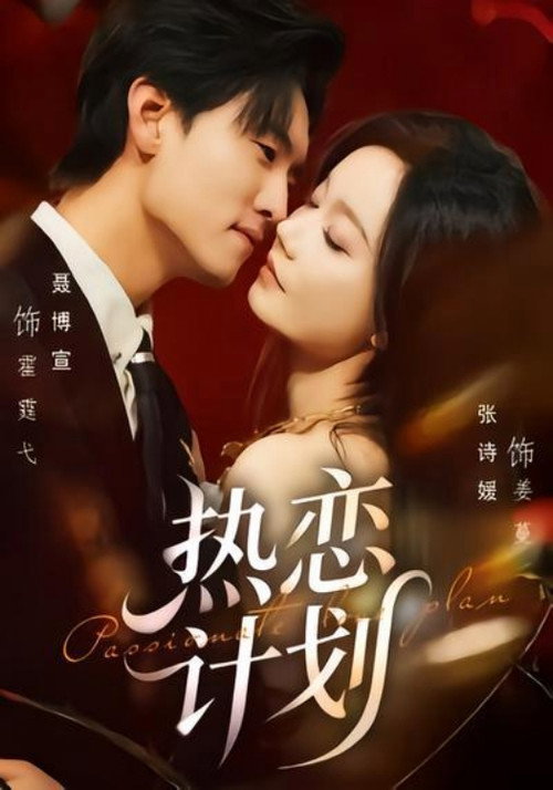 热恋计划 封面