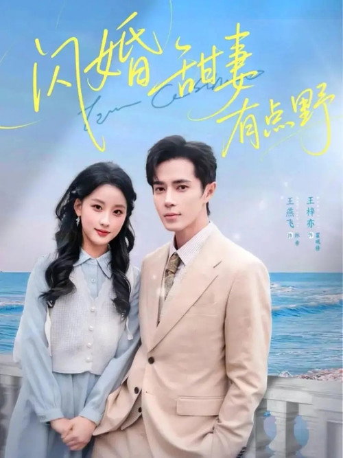 闪婚甜妻有点野 封面