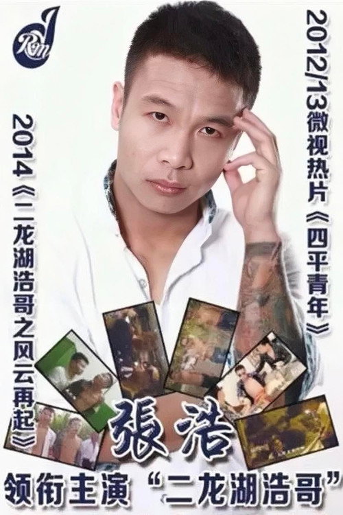 二龙湖浩哥之四平青年 封面