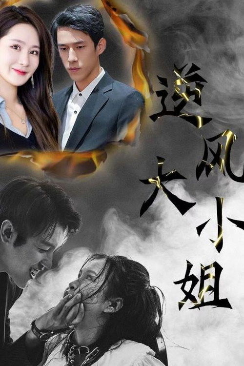 逆风大小姐 封面