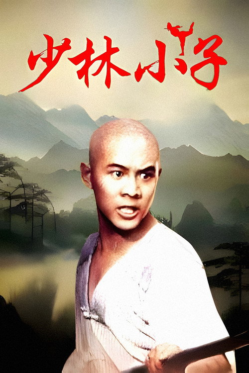 少林小子 封面