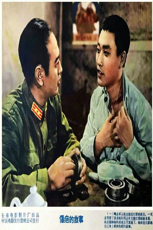 伤疤的故事 封面