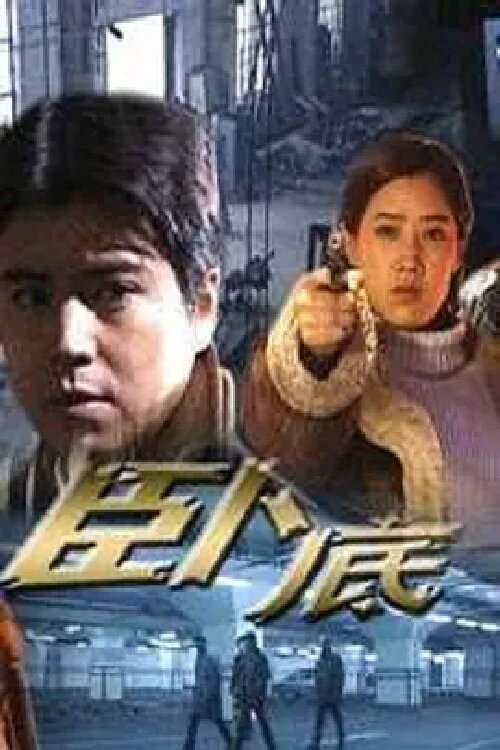 臥底 封面