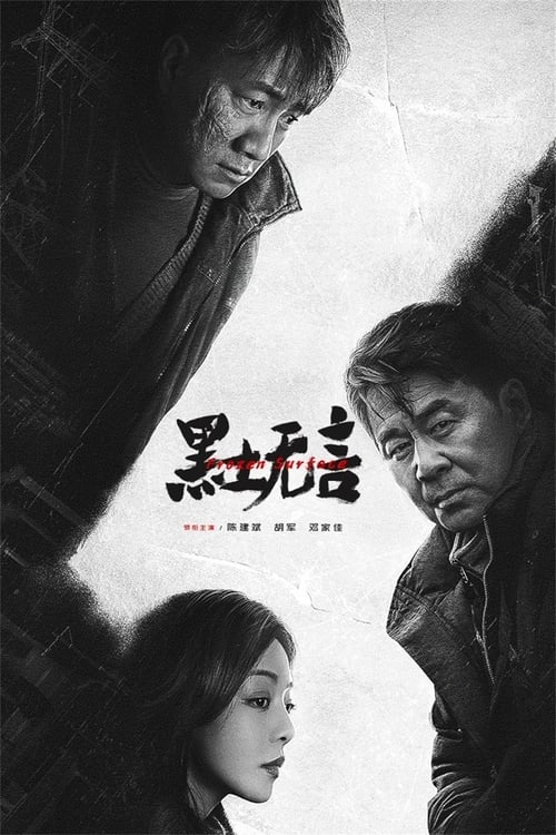 黑土无言 封面