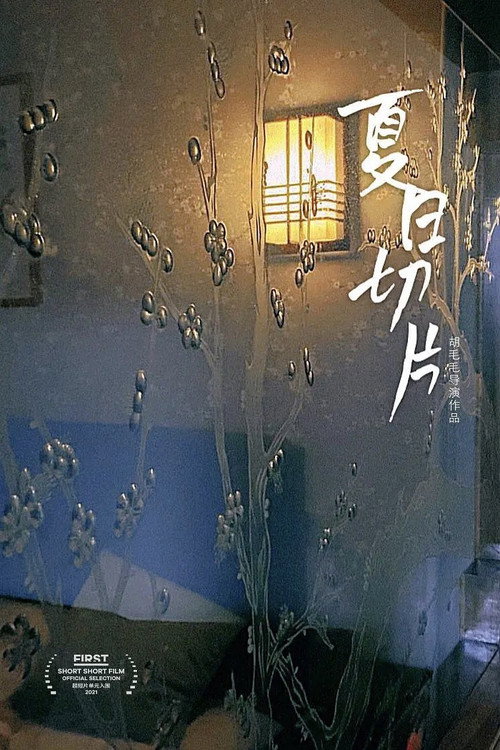 夏日切片 封面
