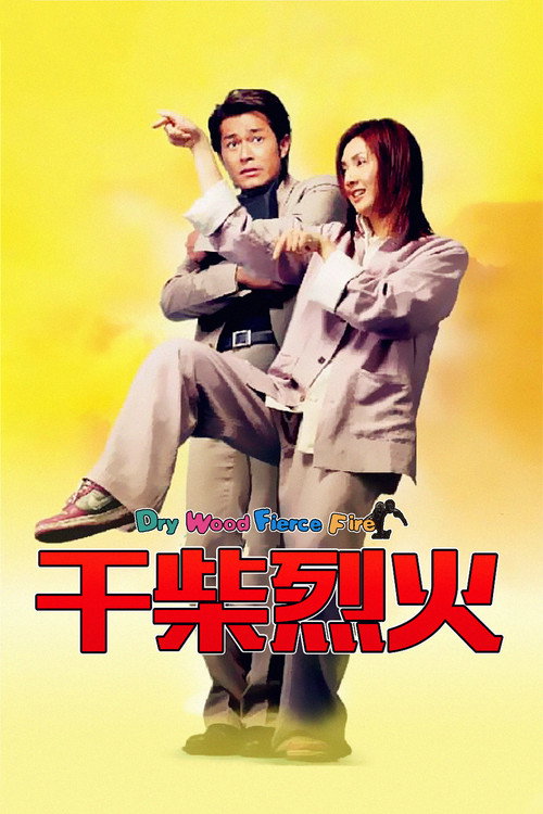 干柴烈火 封面