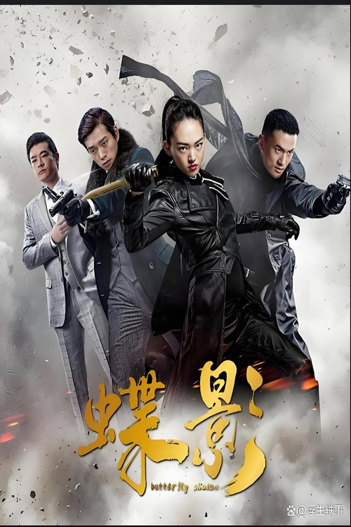 谍影 封面