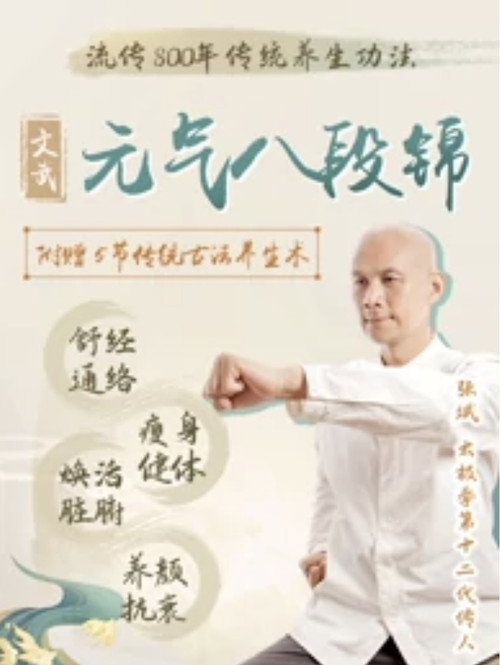 文武元气八段锦 封面