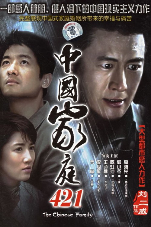 中国家庭421 封面