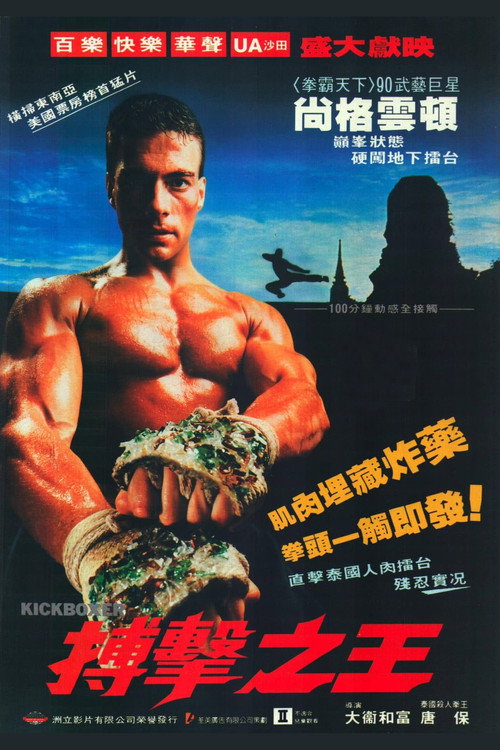 搏击之王 封面