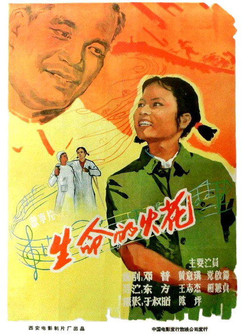 生命的火花 封面