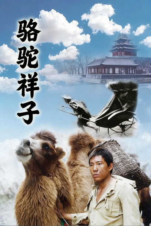 骆驼祥子 封面