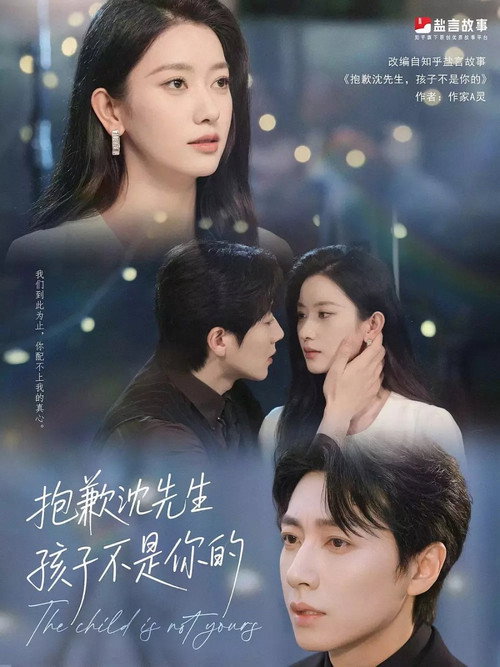 抱歉沈先生，孩子不是你的 封面