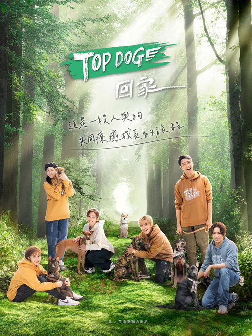 TOP DOG回家 封面
