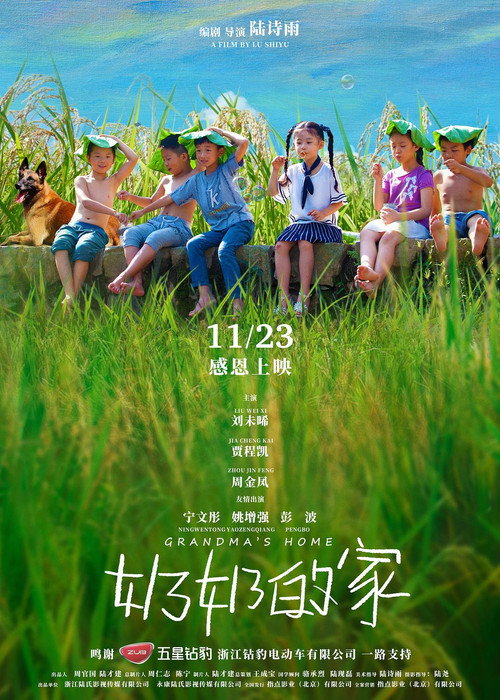 奶奶的家 封面