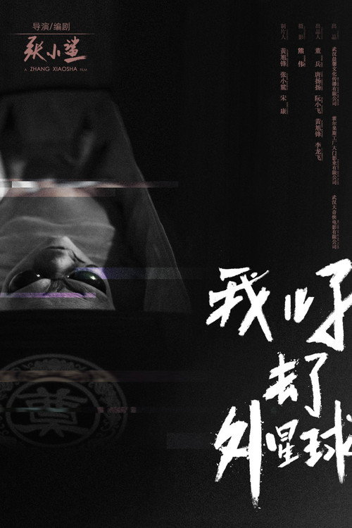 我儿子去了外星球 封面