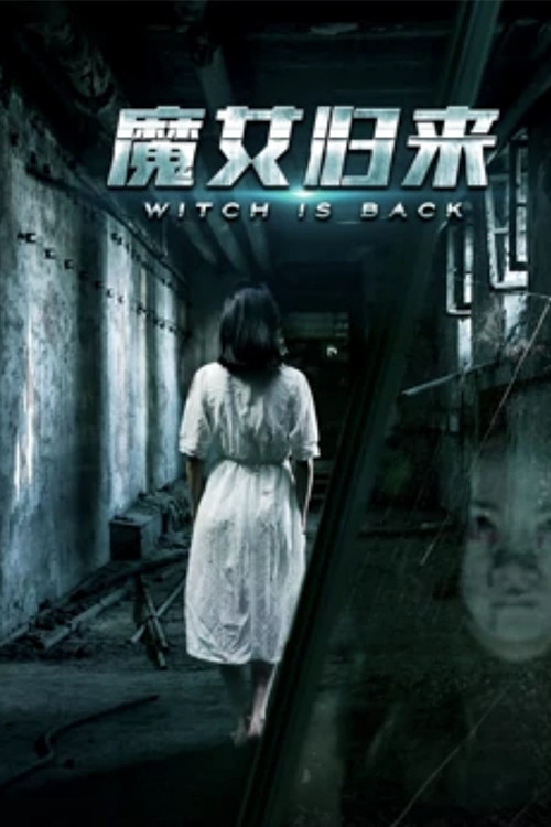 魔女归来 封面