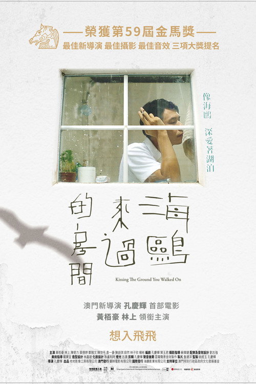 海鸥来过的房间 封面