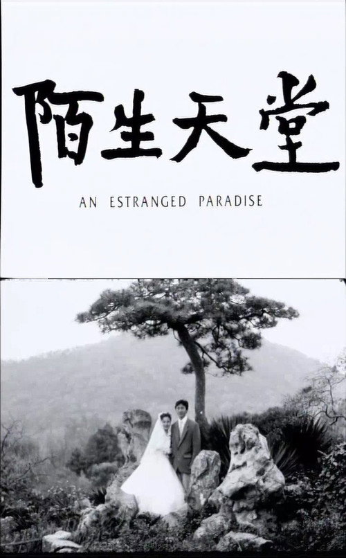 陌生天堂 封面