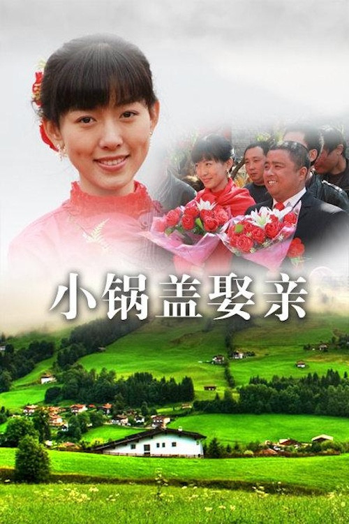 小锅盖娶亲 封面