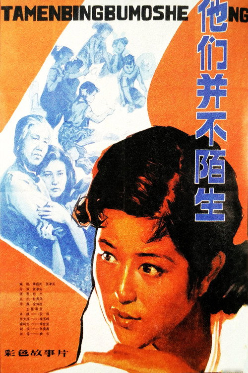 他们并不陌生 封面