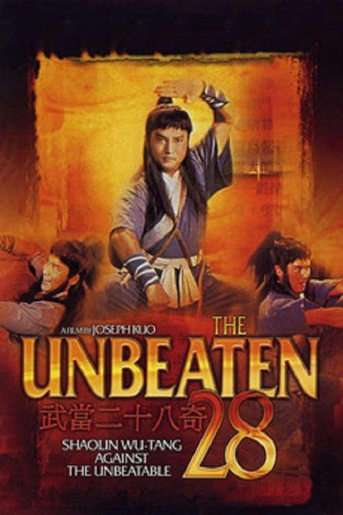 武当二十八奇 封面