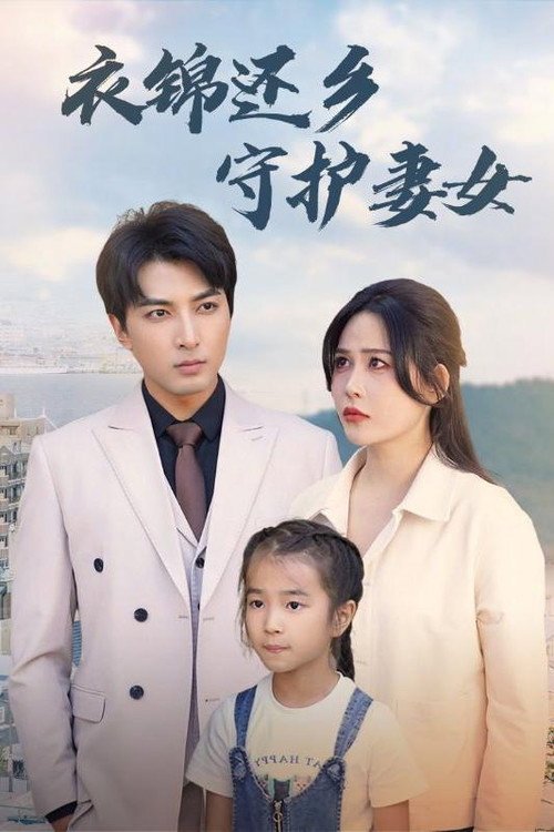 衣锦还乡守护妻女 封面