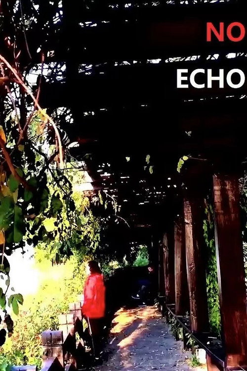 No Echo 封面