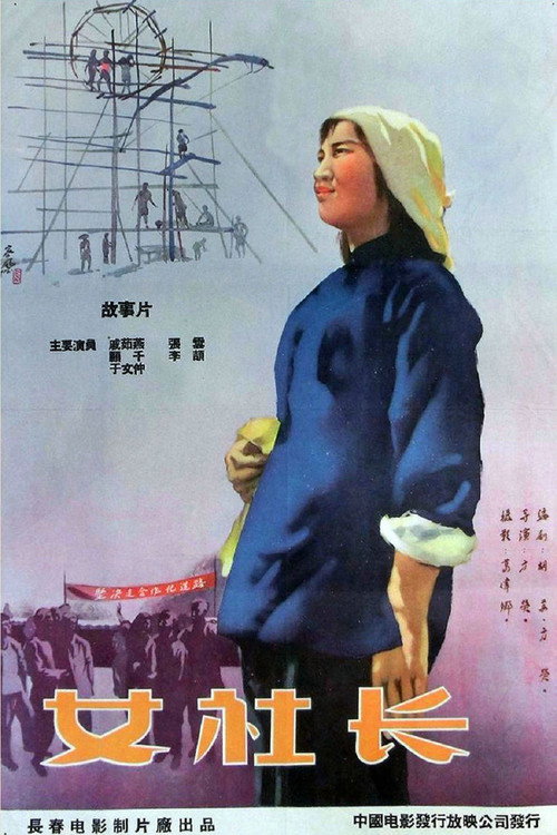女社长 封面