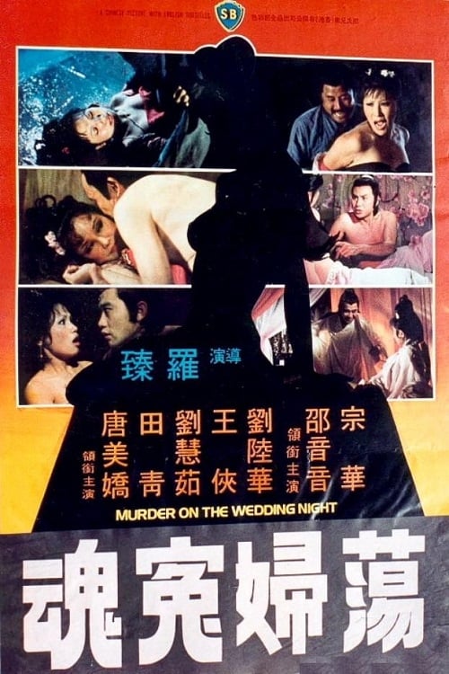 荡妇冤魂 封面