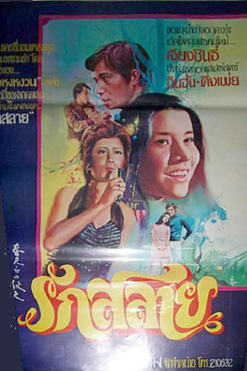 春天里的秋天 封面