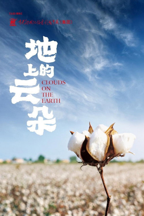 地上的云朵 封面