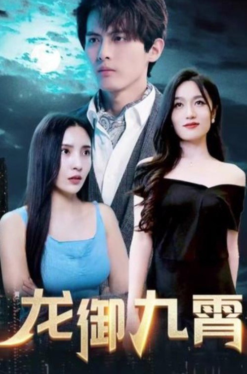龙御九霄 封面