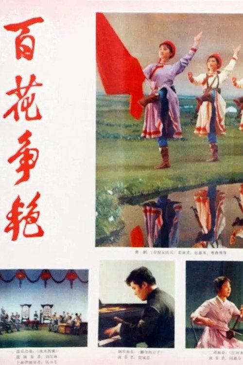 百花争艳 封面